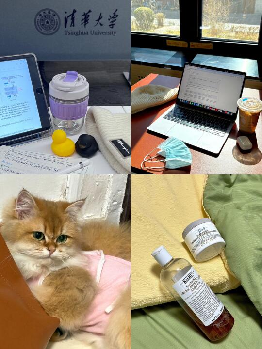 高能量日程｜如何六点无痛早起