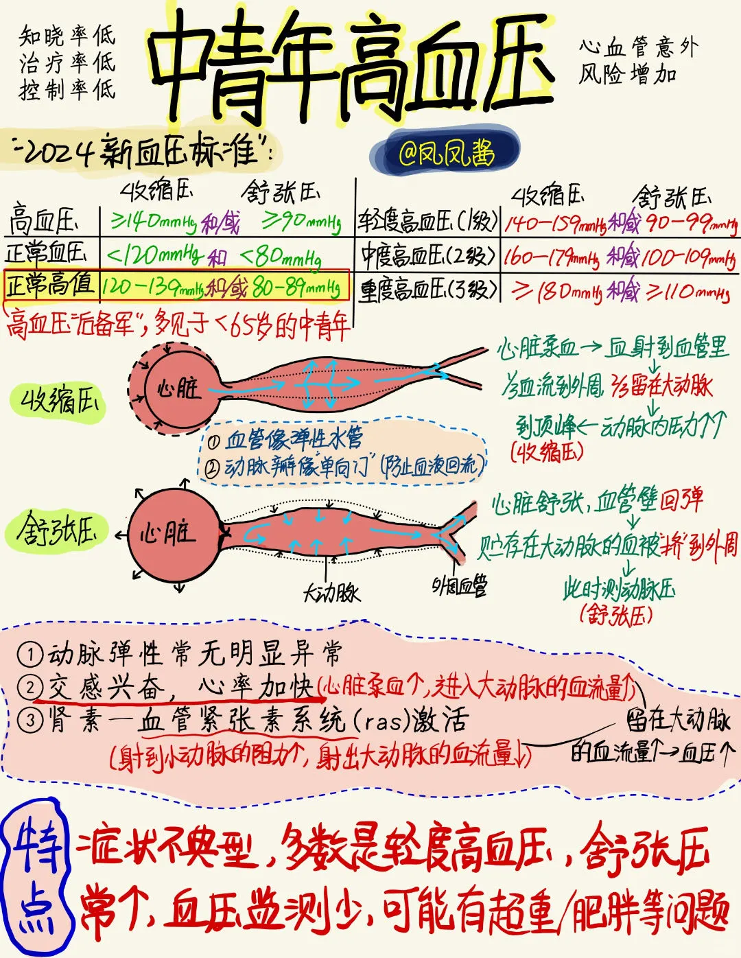 30岁就高血压？年纪轻轻高血压了怎么办？