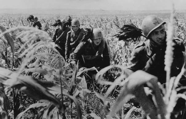 1941 年，一个来自意大利神射手部队的小队在苏联（大概位于今乌克兰）的田野中前