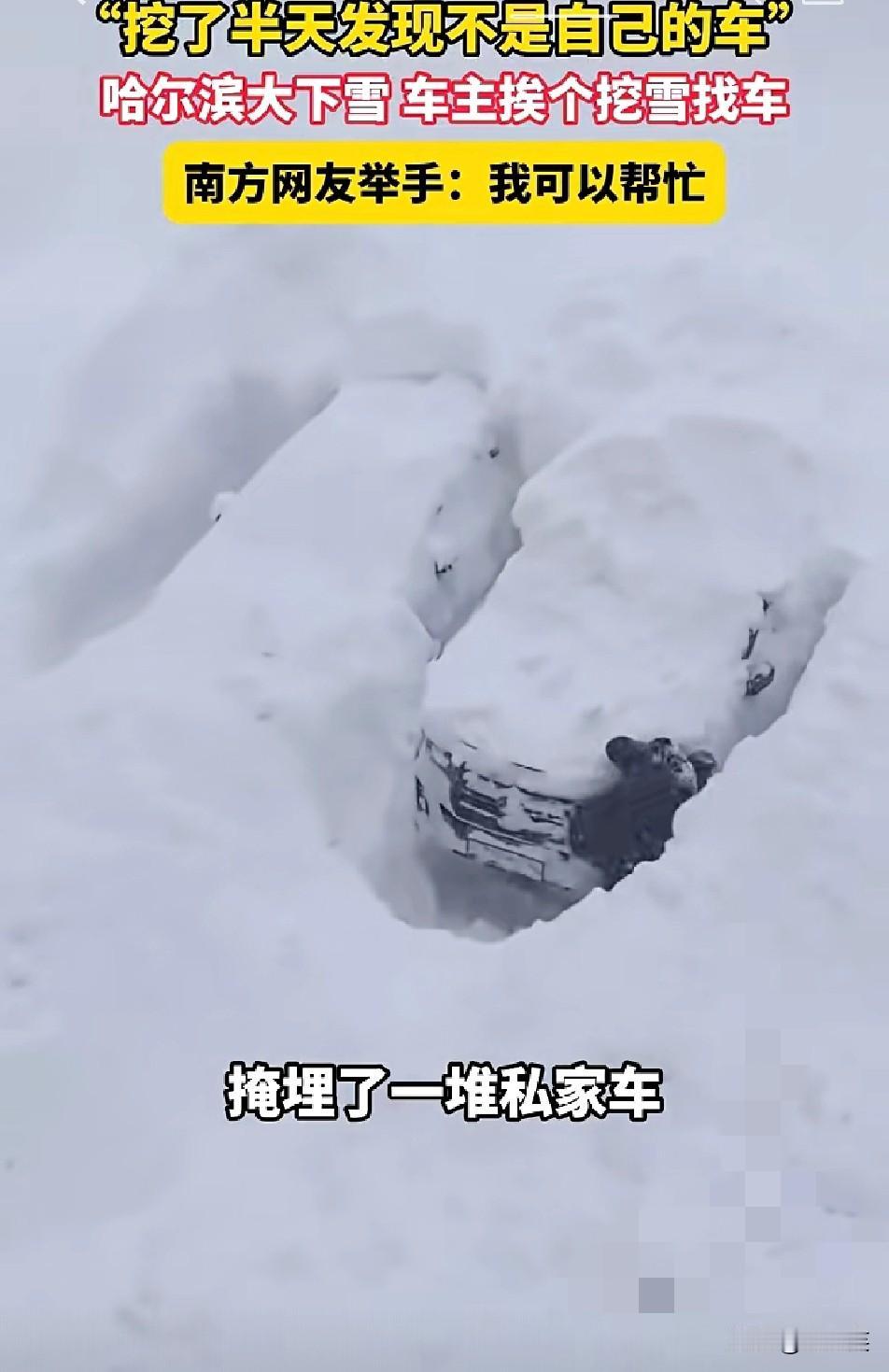 笑不活了！

哈尔滨一场大雪过后

车主们集体上演“挖宝”现场

车被埋得只剩个