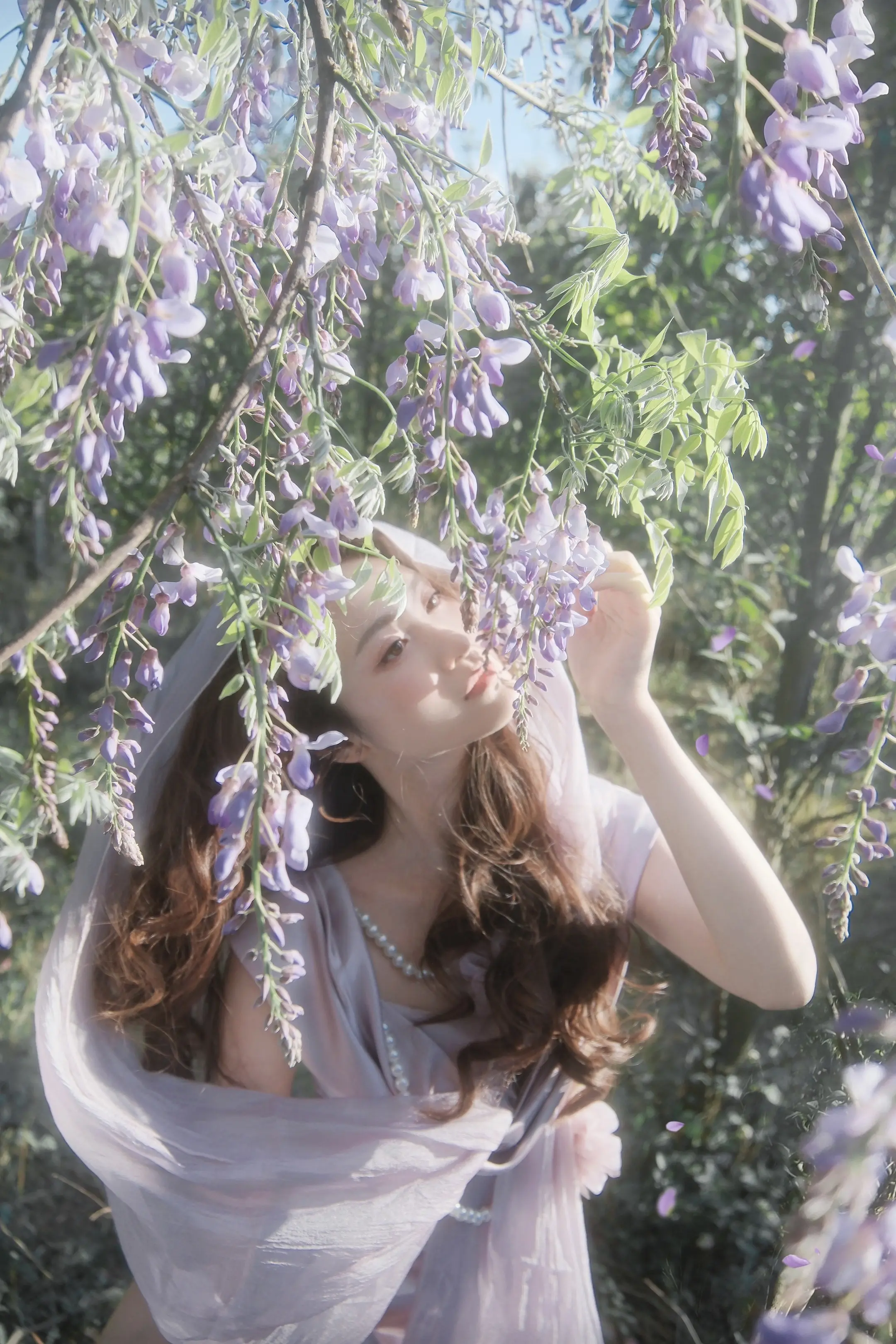 🪻紫藤花树下。