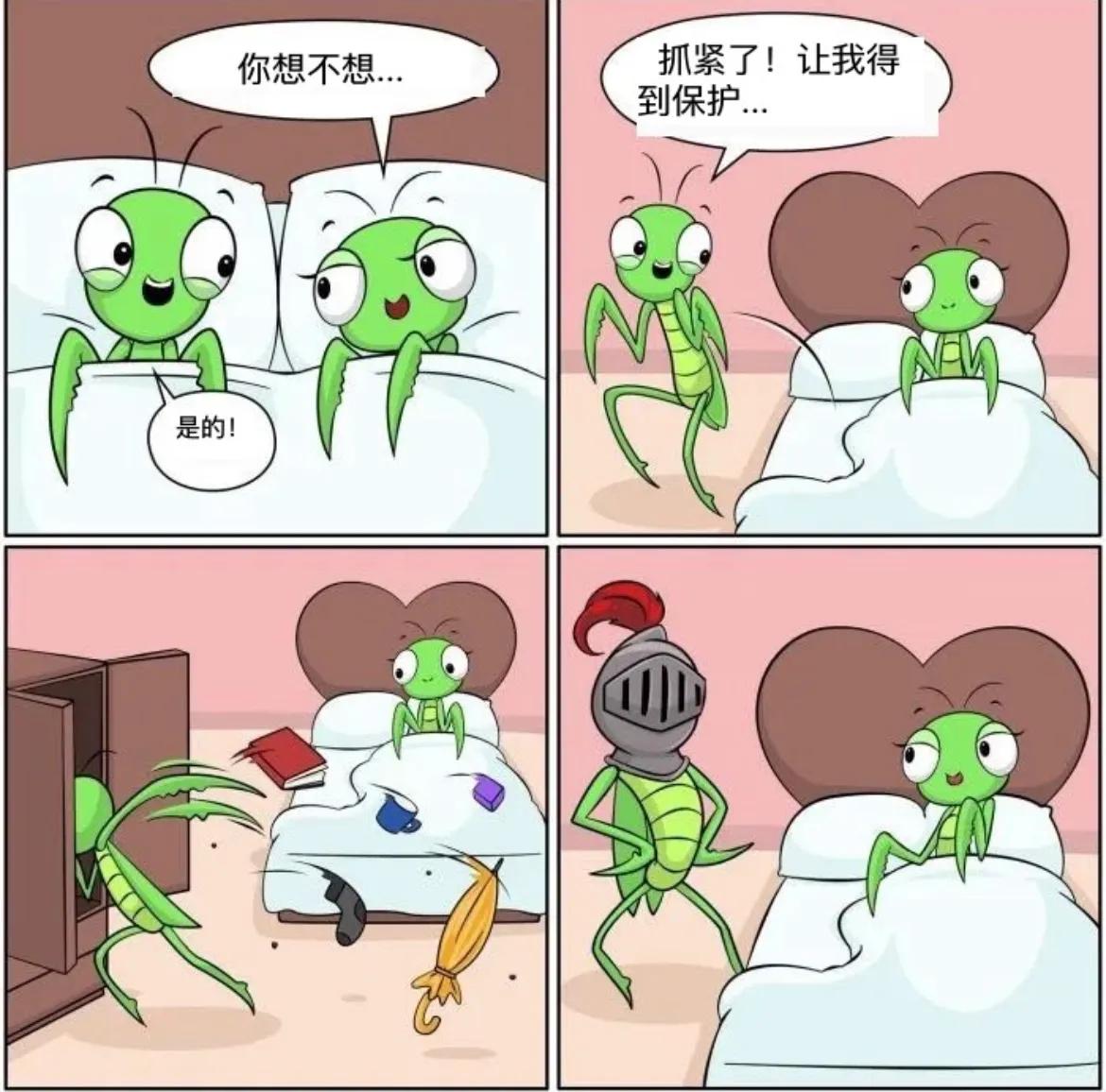 保护
