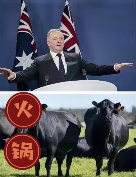 制裁不过夜！

就在中国解放军2025围台军演结束，澳大利亚脑瓜子嗡嗡的，31日