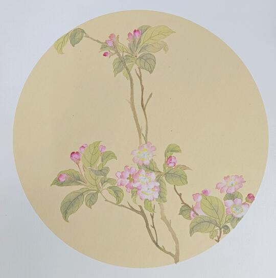 没骨画‖海棠花