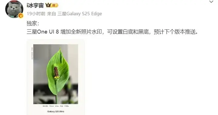 三星One UI 8增加全新照片水印，S11系列平板待发