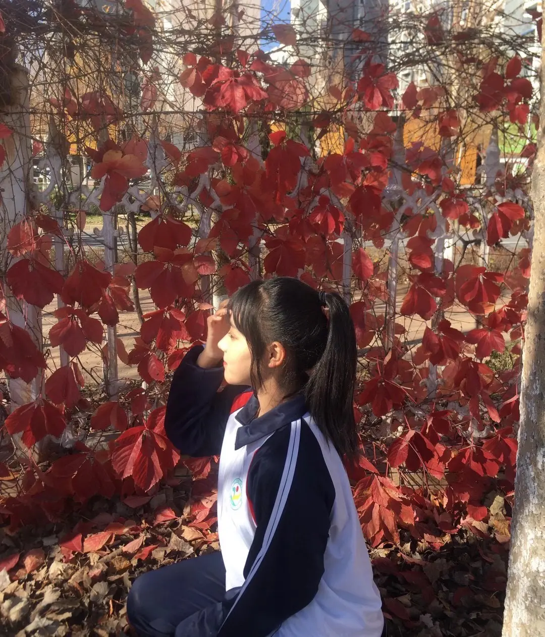 永远怀念我的十六岁