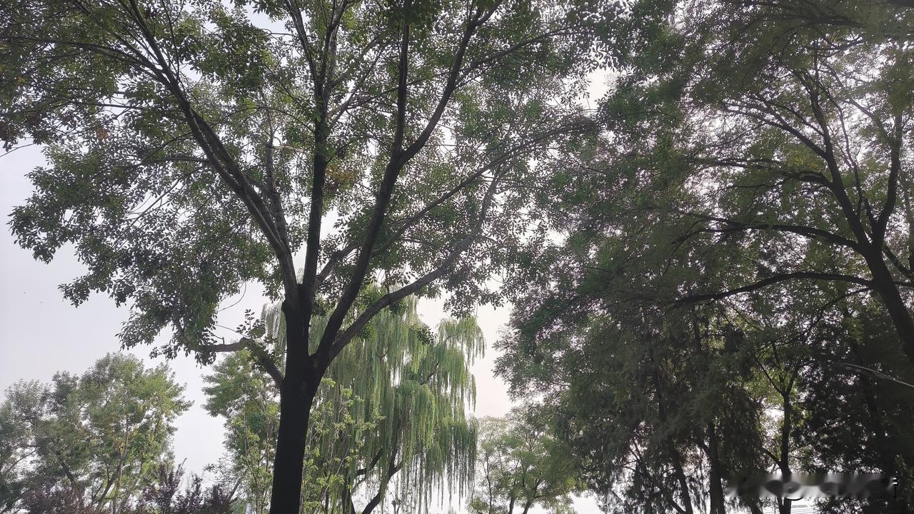 气质出众的人，往往都有这些特征:
 
一个人的气场和沉稳，从来不是天生的。都是后