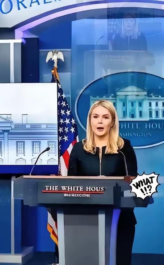 “中国不想跟我们合作了，中国想要实现半导体独立性。”这是白宫负责AI与加密货币事