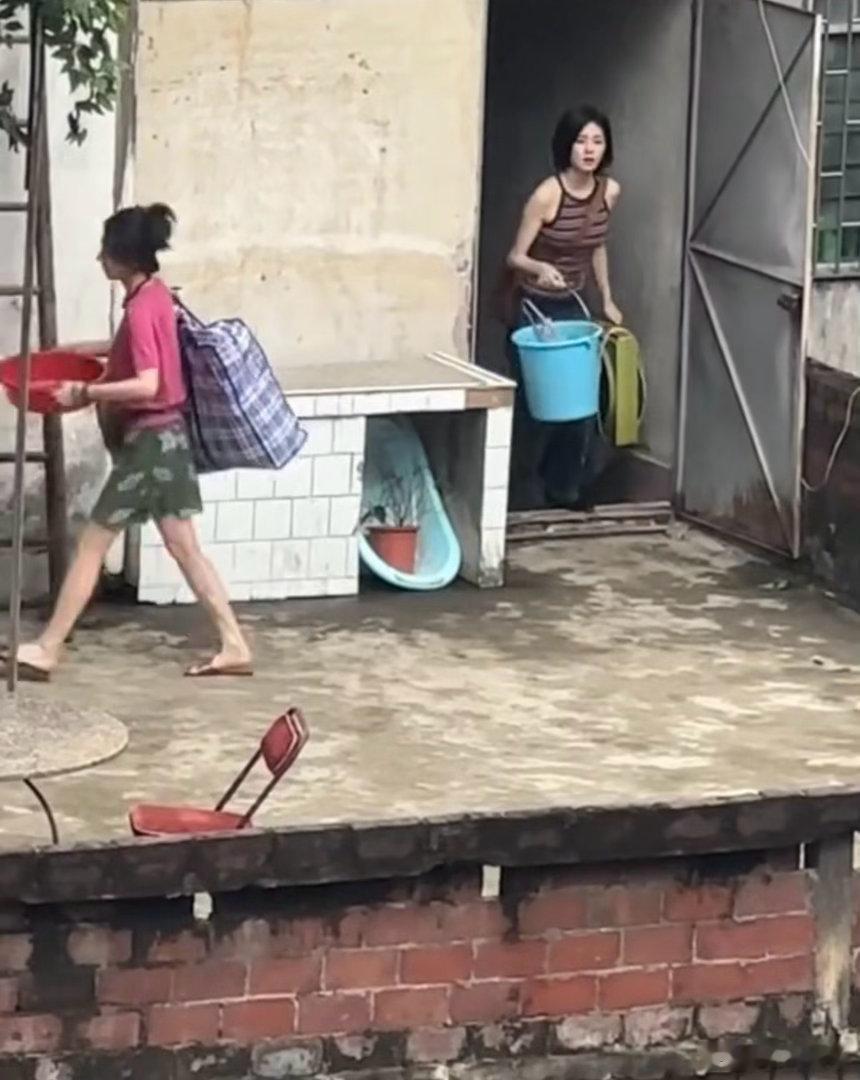 网友在家偶遇白鹿这是什么神仙运气！宅在家里不出门，就在自家隔壁偶遇白鹿本人啦，也