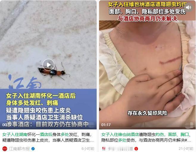 “太惨了！”2026 年 7 月 17 日媒体报道，湖南怀化维也纳酒店（洪江黔城