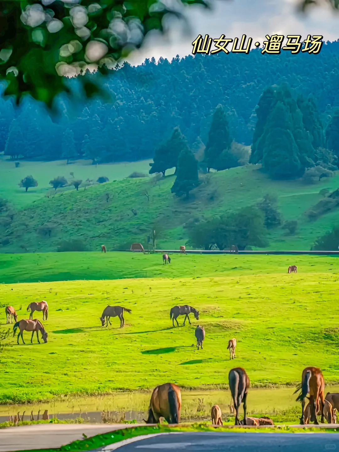 一个被严重低估的五A景区，人少！！！