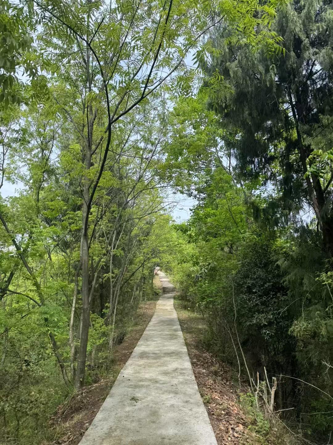 踏青，是赴一场春天的约会

最美不过四月天，一年之计在于春。春天万物复苏，生机盎