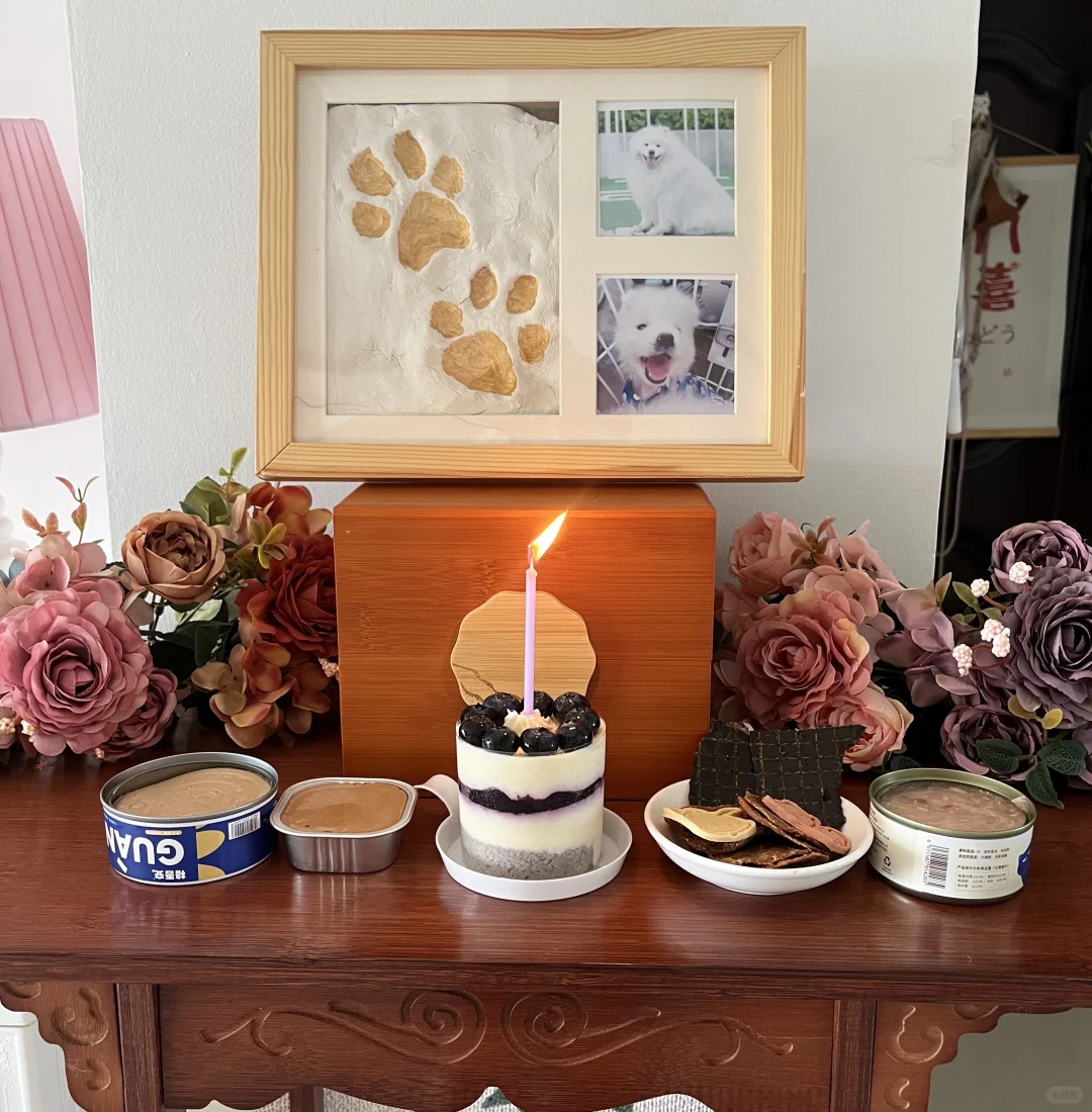 生日快乐嘟嘟
