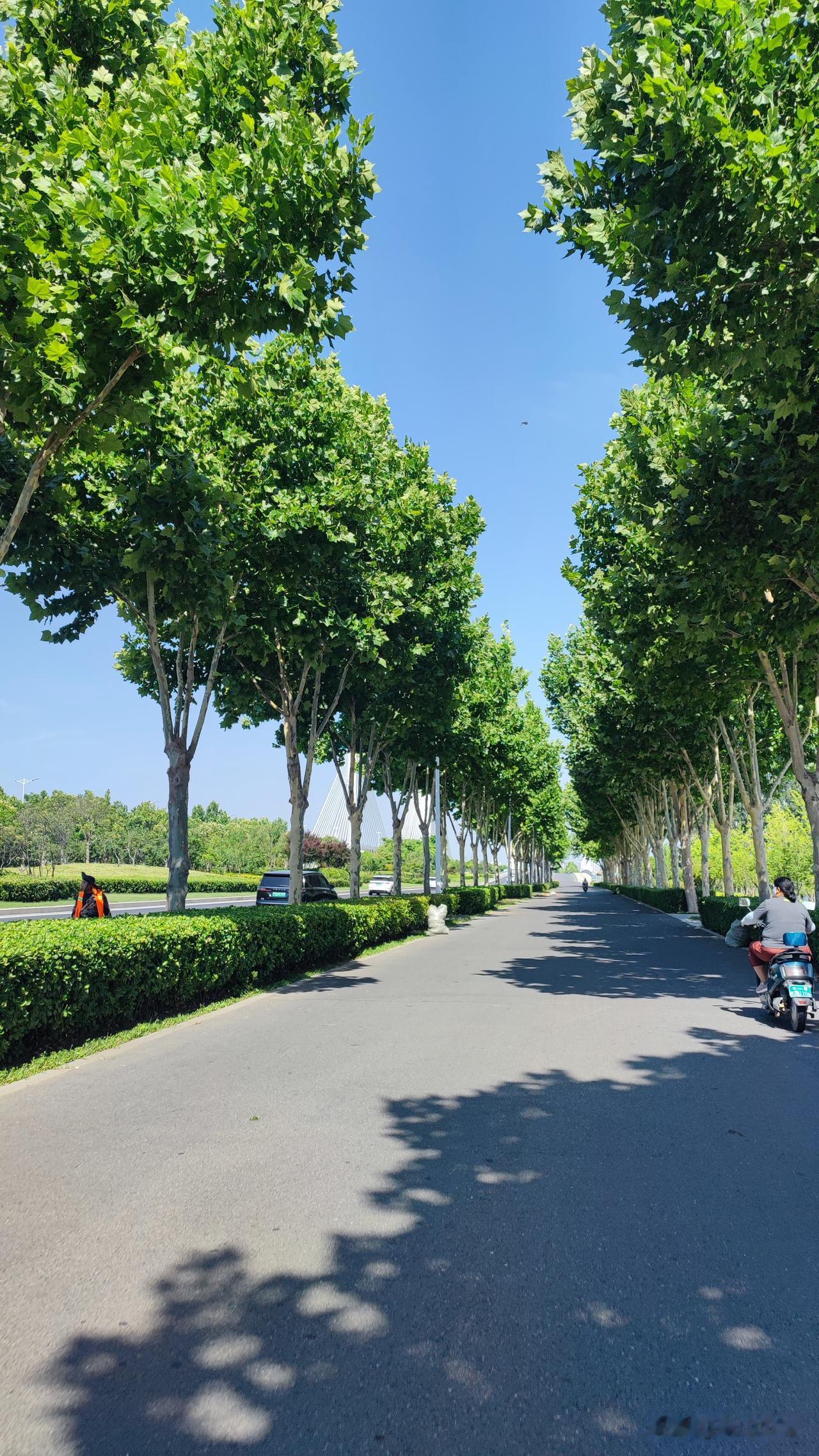 6月的北龙湖，风景秀丽，微风吹拂非常的凉爽。