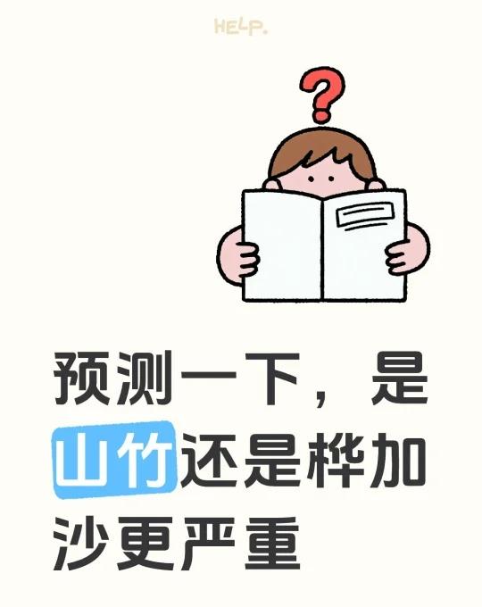 预测一下，是山竹还是桦加沙更严重哪场台风 台风 山竹 桦加沙 广东 广东台风 天