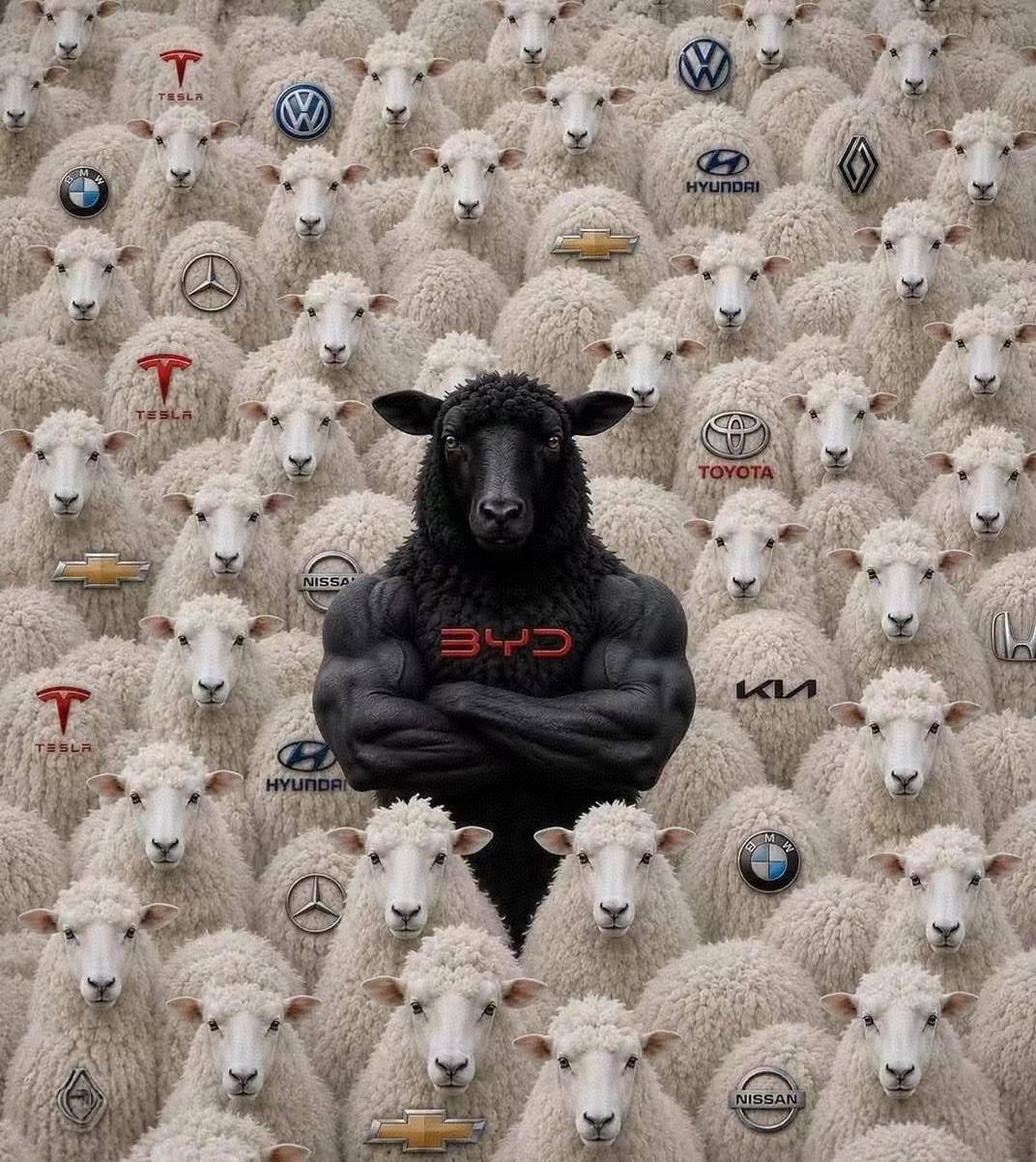 这到底是老外眼中的比亚迪，还是我们自己做的图，自娱自乐的？[允悲][允悲][允悲