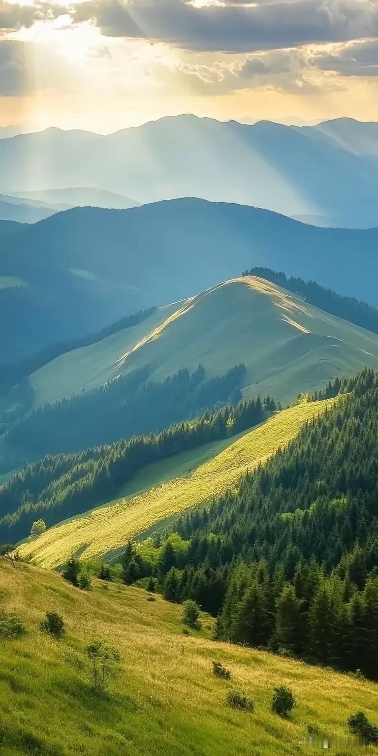 一位著名律师说:
“去派出所报警，遇到民警态度很不好，比如警察冲你大声嚷嚷，还用
