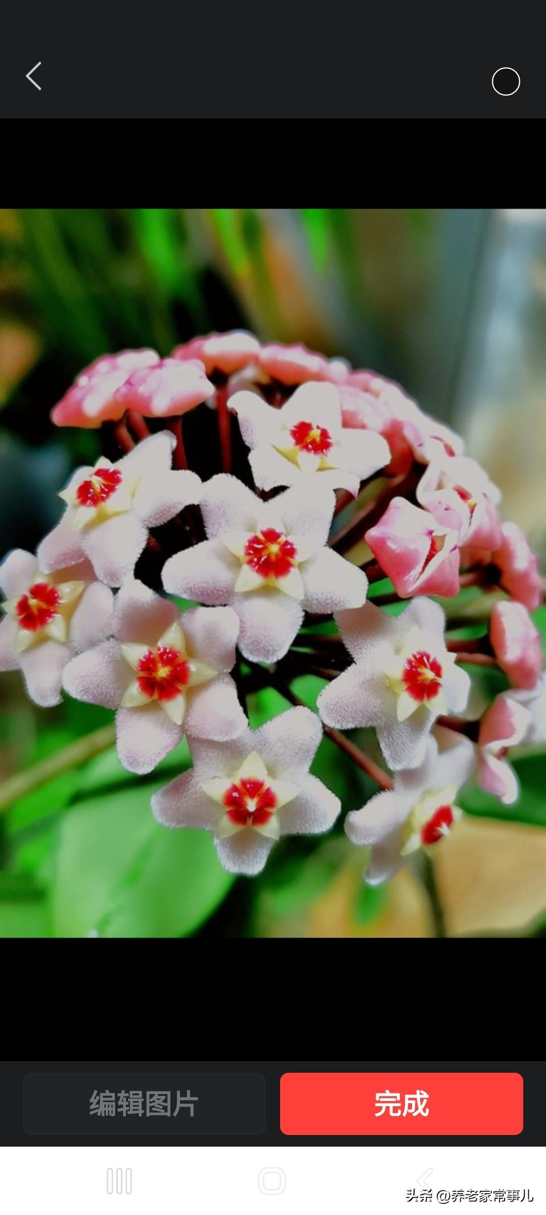 分享一下你随手拍下的照片愿你平安顺遂，日子温暖又舒心