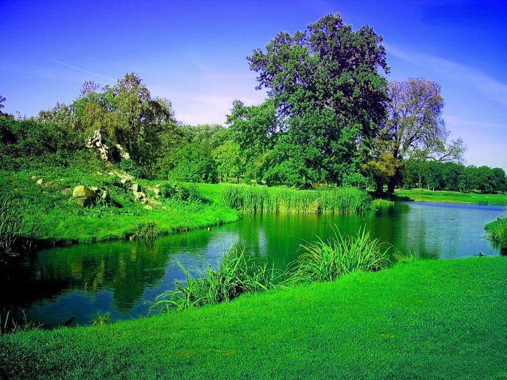 还有人晒时事相关，像“历史级出口管制，中方动真格，日本好自为之”，配上相关新闻截