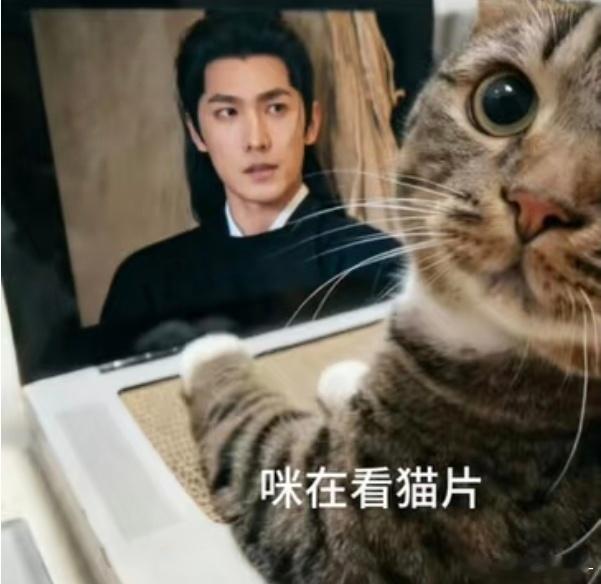 此男的美貌令我沉迷，爱上杨洋是我的宿命