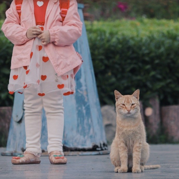 我喜欢我自己身体里破碎的声音和愈合的过程｜余秀华《礼物》 ​​​