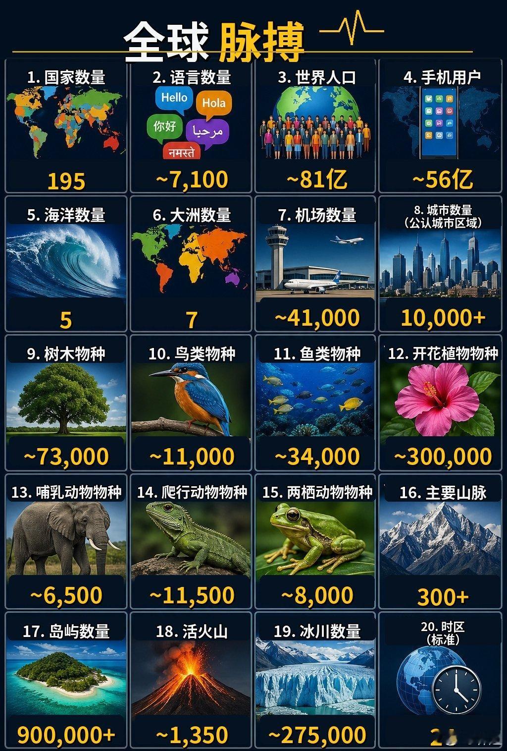 地球各方方面面的数量 
