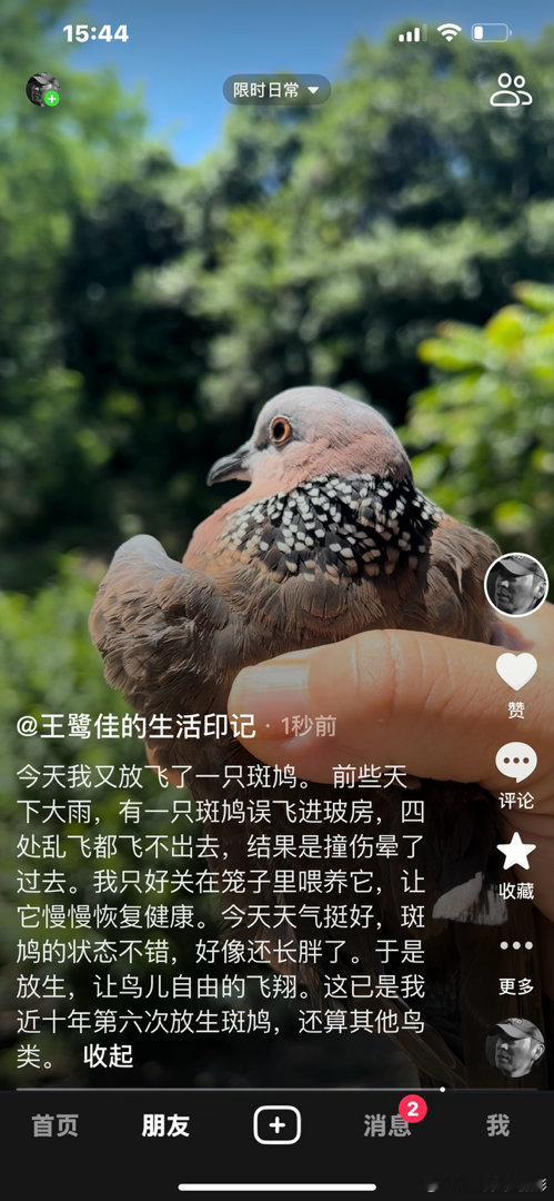 诗歌  心随飞鸟远，静观世间潮——品读鲁力2026年7月2日随想诗作一首好的随感