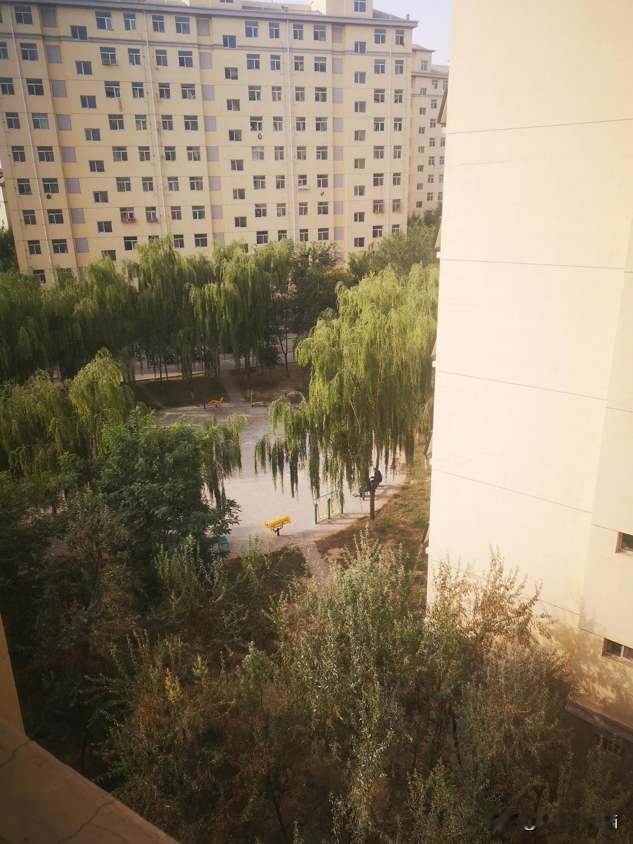 国庆我选在家蹲，舒服到不想出门
 
朋友问国庆出门旅游？算了吧，想想都头大！高速
