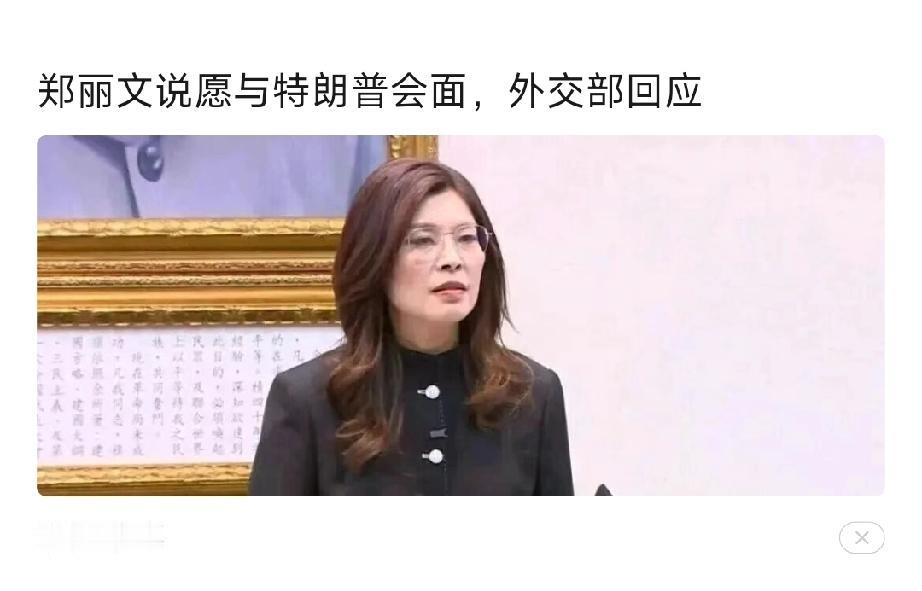 一般来说，凡是见美国总统特朗普的不是商业巨头，就是国家元首：

而郑丽文既不是商