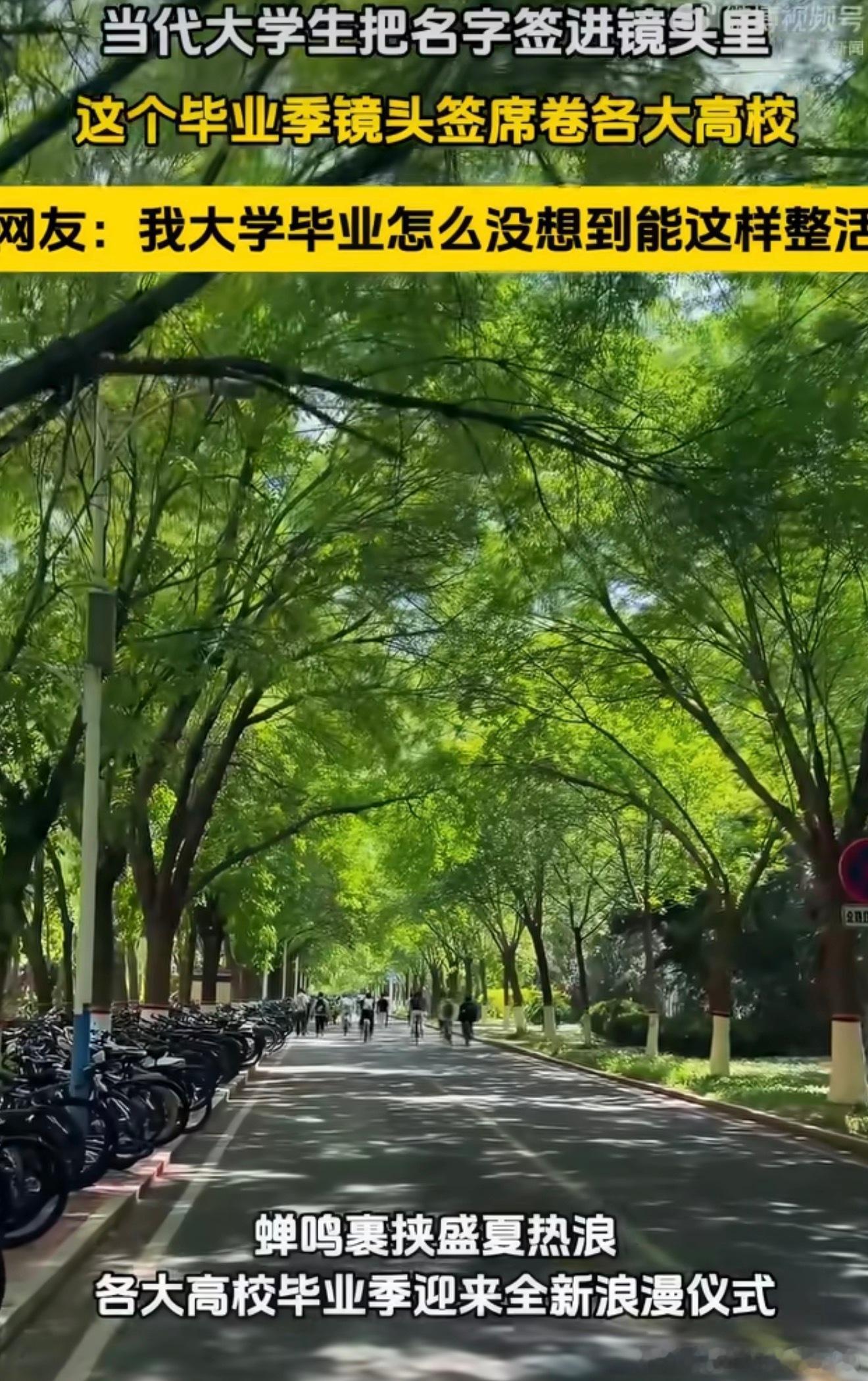 用镜头签定格完整学生时光少年的欢乐与青涩都藏在校园角落，镜头是最好的纪念载体。拍