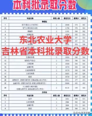 东北农业大学的本科录取分数那可是家长和考生们关注的焦点。以 2023 年为例，在