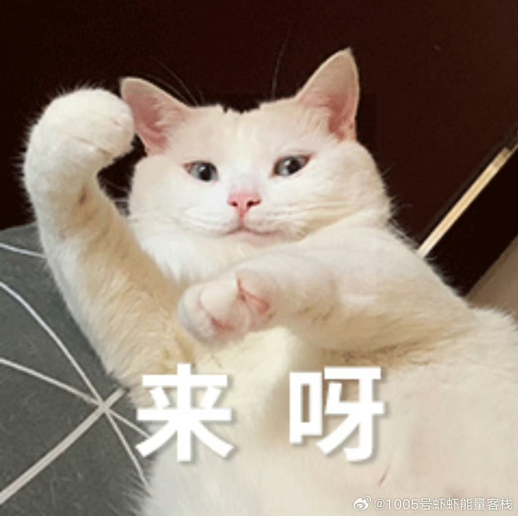 客栈从哪里搞这么多土潮土潮的表情包的