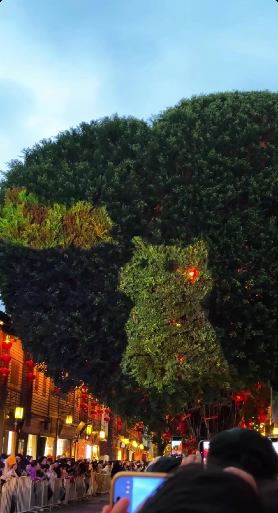 在福州遇见一棵爱心树！
在福州游玩时，我竟意外邂逅了一棵爱心树！那棵树的枝干天然