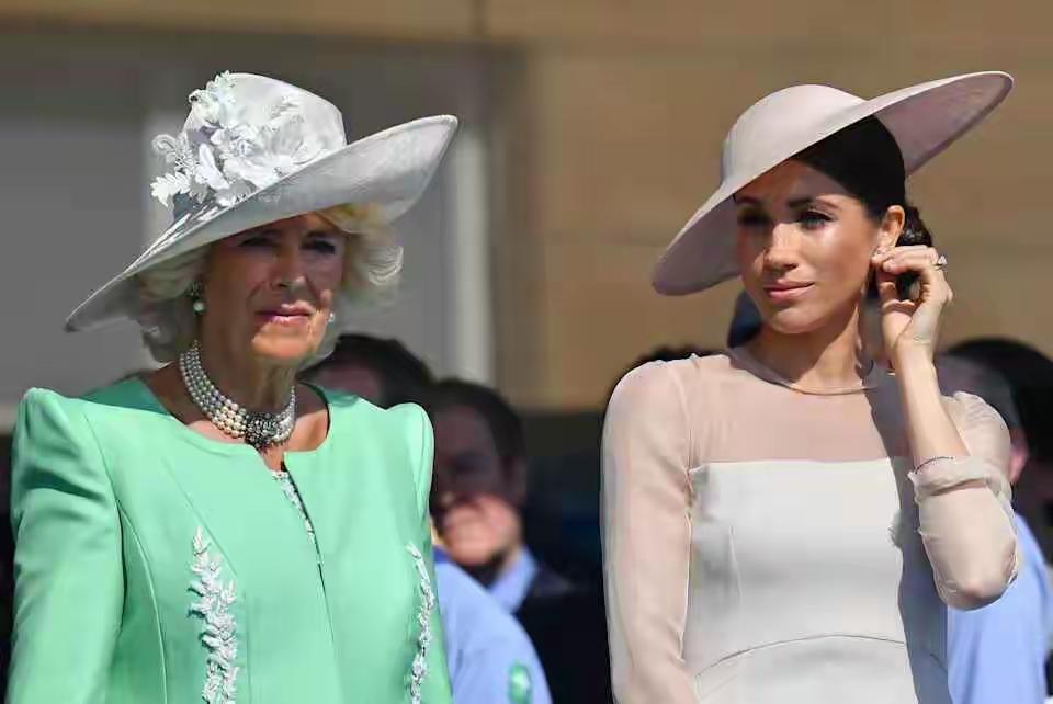 梅根离开后，最大的获益者并非卡米拉，而是凯特？
为何？
梅根留在王室不会消停，反