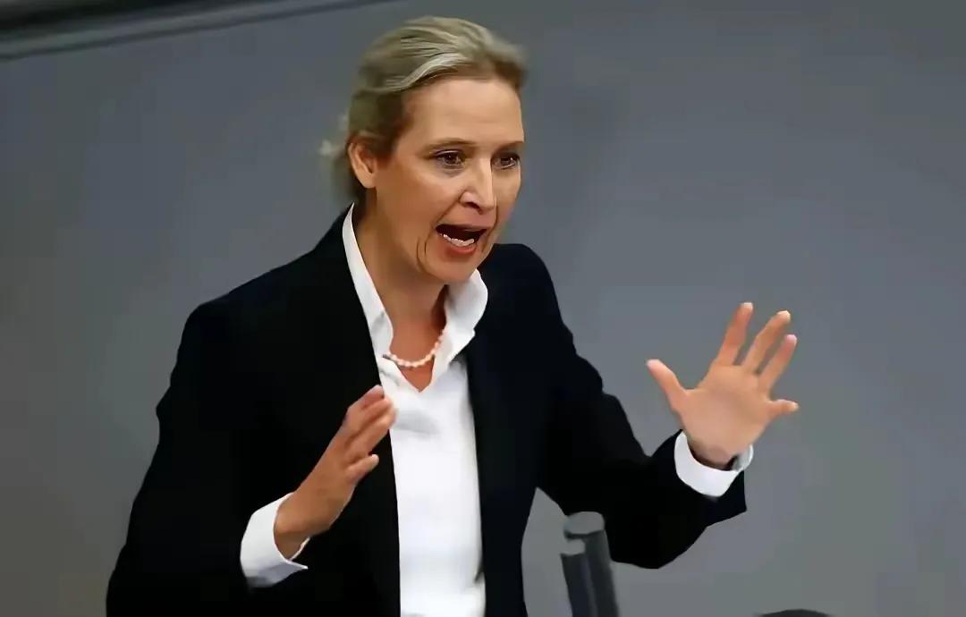 很多中国人在网上支持这位德国铁娘子，这位铁娘子“铁”在哪里呢？“铁”在几乎和德国