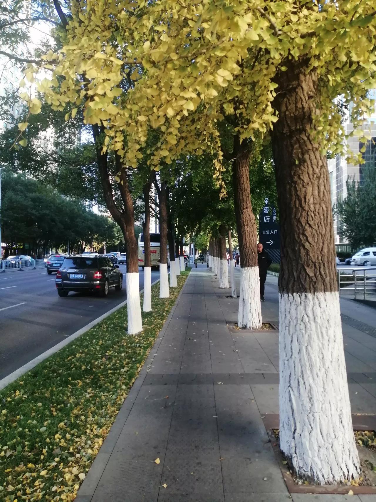 【趋利避害，做好自己】
人生的道路从一生下来就注定要遇到很多坎坷。在孩童时就有听