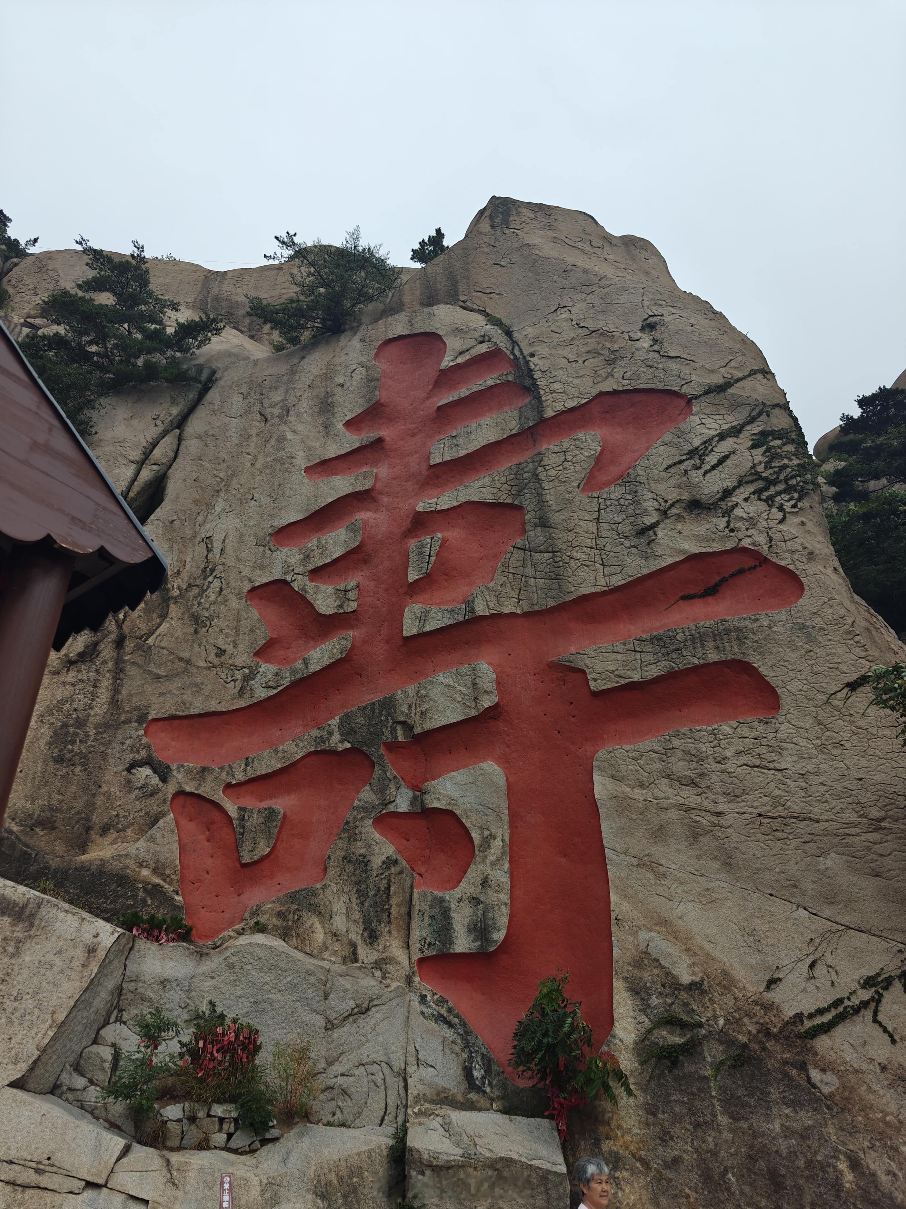 祝看到这个寿的人寿比南山 