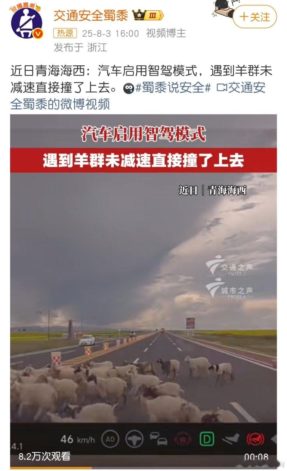 汽车启用智驾模式撞上羊群现在中国已经没有智驾模式，只有辅助驾驶模式，请不要再这么