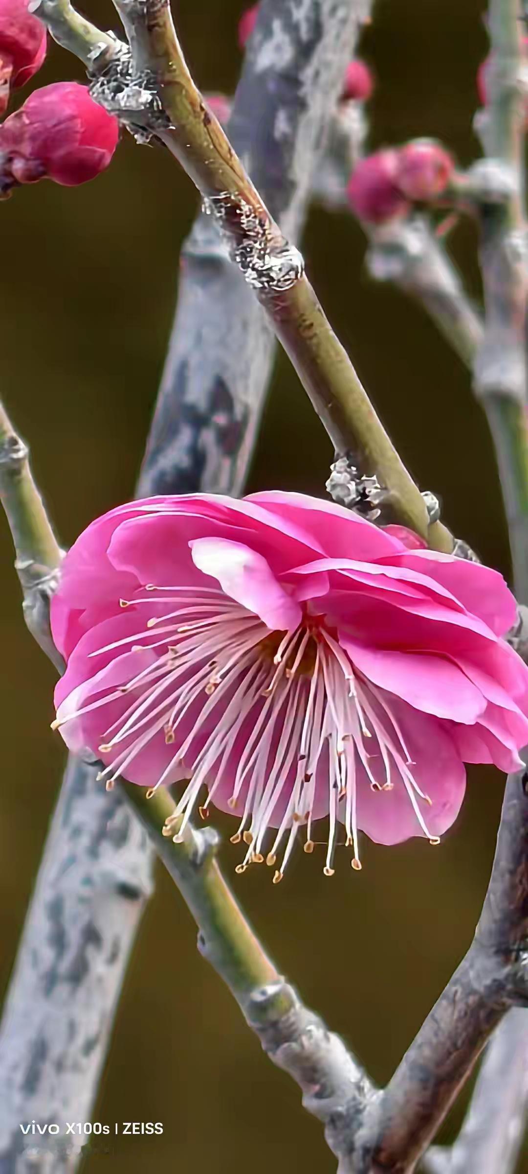 物稀为贵永真理，
有时又把新物求！
人生在世贵在需，
今日俱有吩明有！！
[赞]