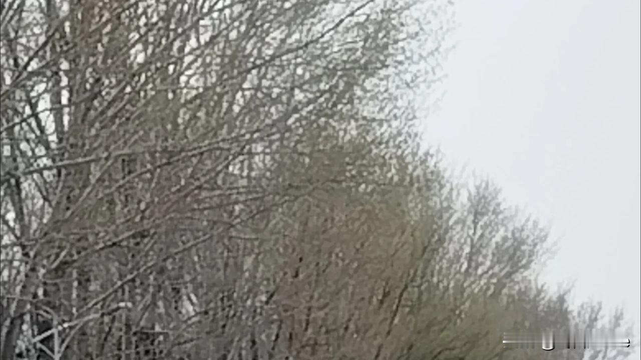 我的宝藏兴趣