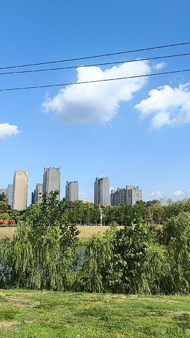 昨天还穿着短袖在街头晃，走两步后背就闷出一层薄汗，今天出门直接被迎面的风打了个措
