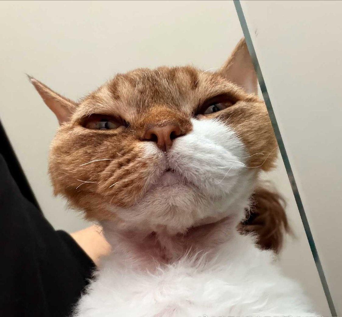 胡先煦超话  哈哈哈，小胡多拍拍未来十年没人能懂胡先煦的自拍胡先煦说告诉观众我能