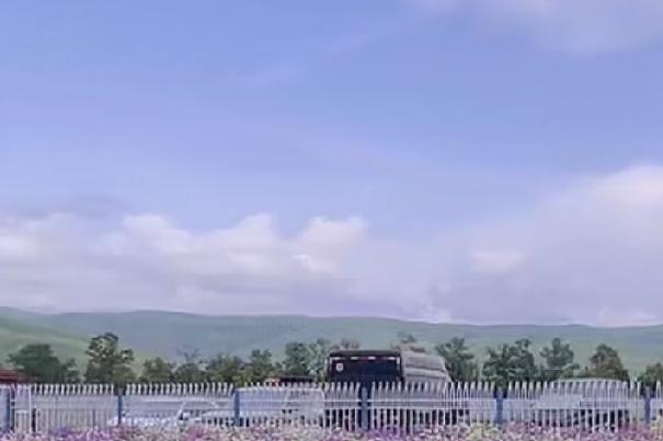 你终究是我动了心，却又无法拥有的人，在我心里你永远都是无可替代的存在。

在以后