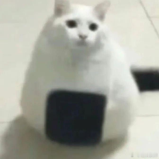 #汉服女孩用东方神秘力量征服老外#汉服以这样的方式被老外认识真的是非常的棒，隔着