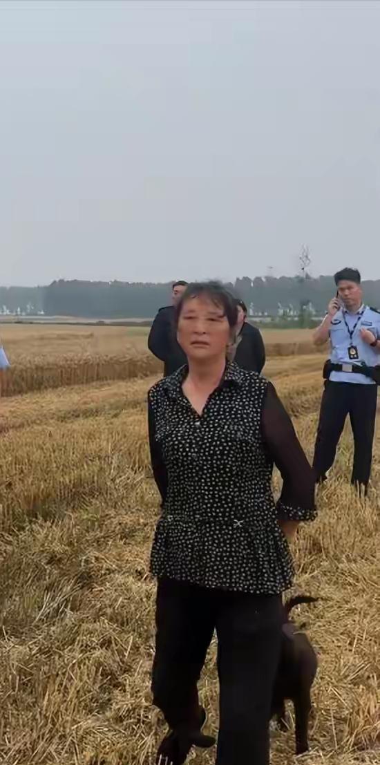 “割四赔五”的大妈，你给襄阳人丢脸了[打脸]
近日，湖北襄阳抢收小麦。
一对河南