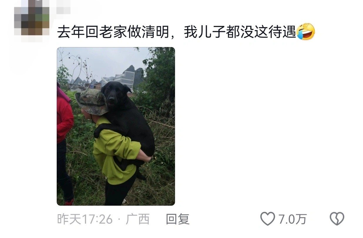 拜山偷偷跟去的傻狗 太公都没这待遇嘞 ​​​