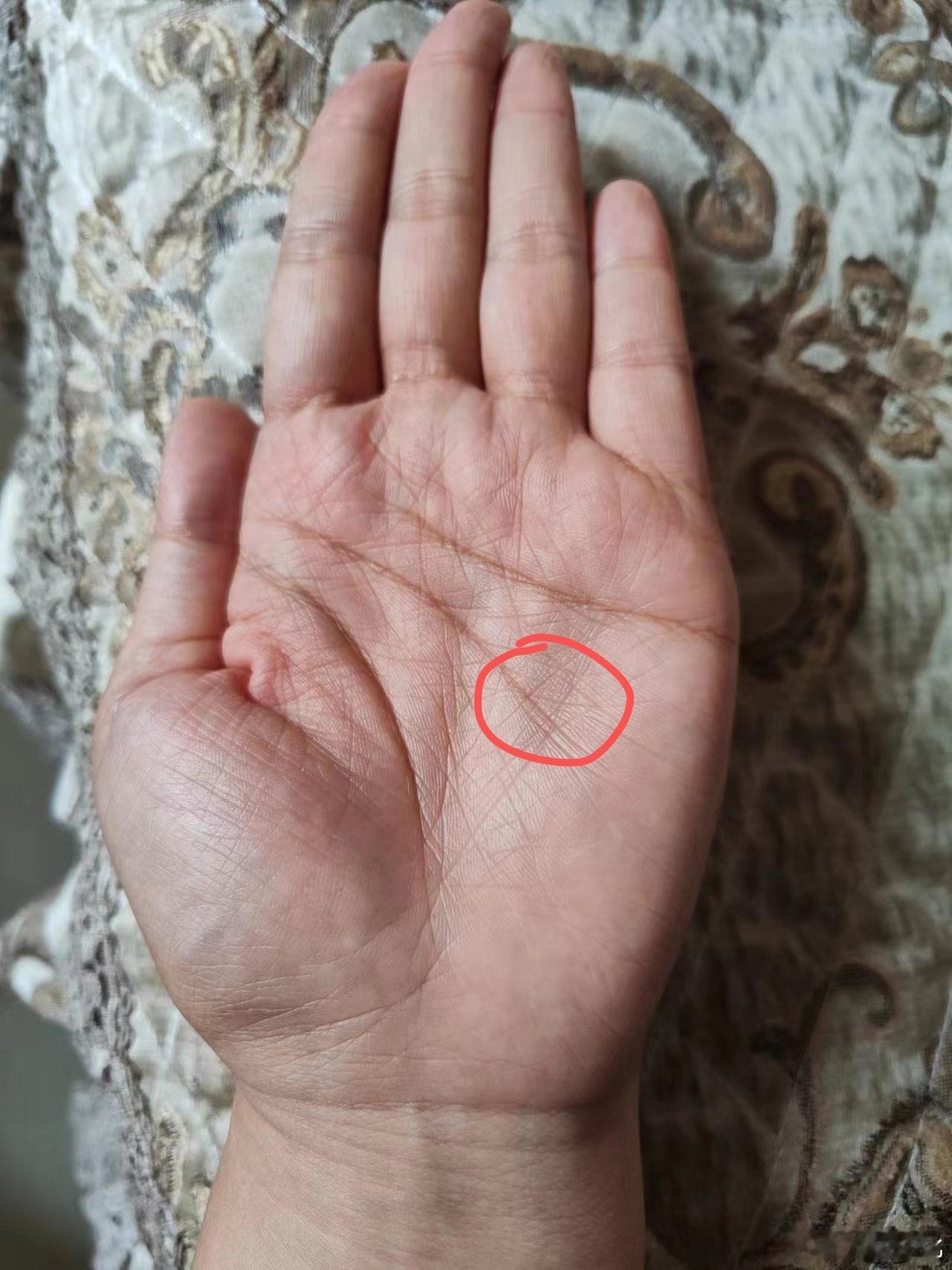手相干货一则：无论男女，头脑线（智慧线）尾端有（如图）大量的横竖纹穿过，呈格子状