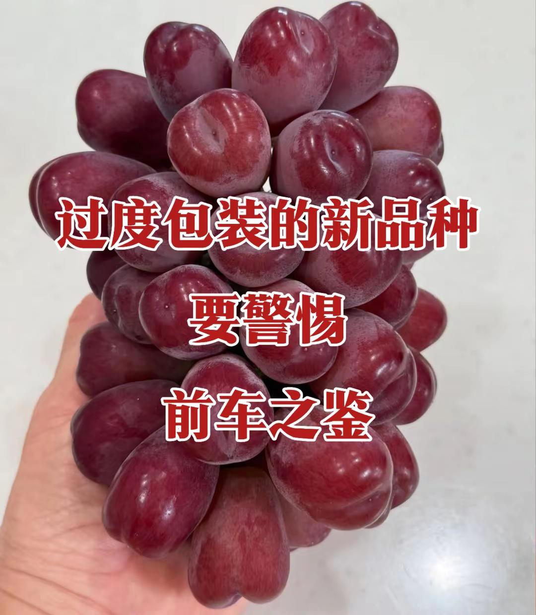 种植户应该有知情权，种不种是自己的事。①上科技狠活：小颗粒变超大颗粒，着色难到着