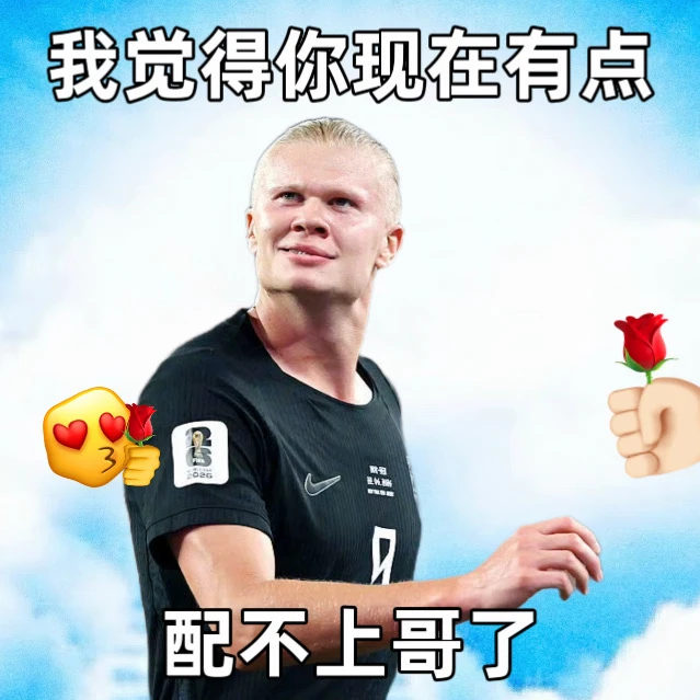 哈兰德虽然很厉害，但进球姿势依旧太搞笑了 他怎么这么好玩[捂脸R]