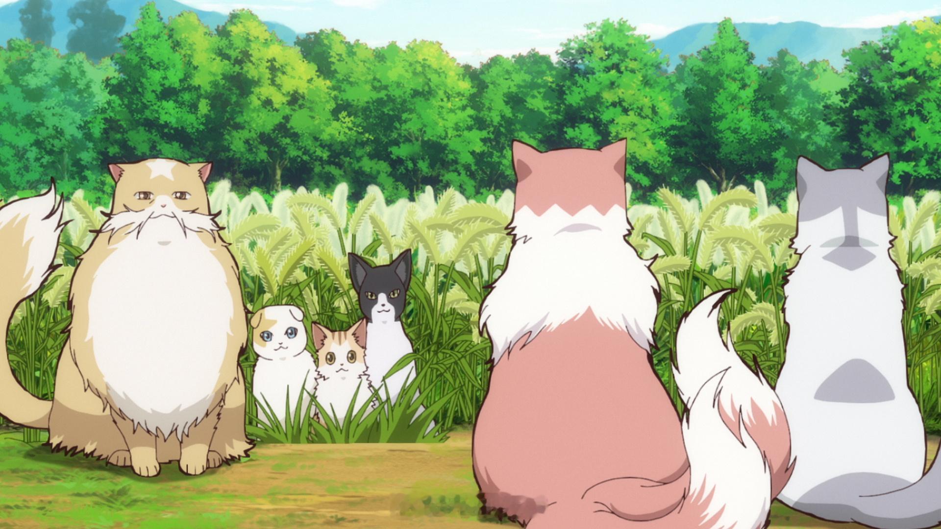 夏季新番『猫与龙』07『暗黑灯火』06『鬼之花嫁』06『穹庐下的魔女』07『岩元